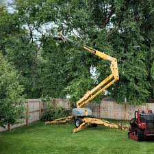  Montague, CA Tree Care Pros