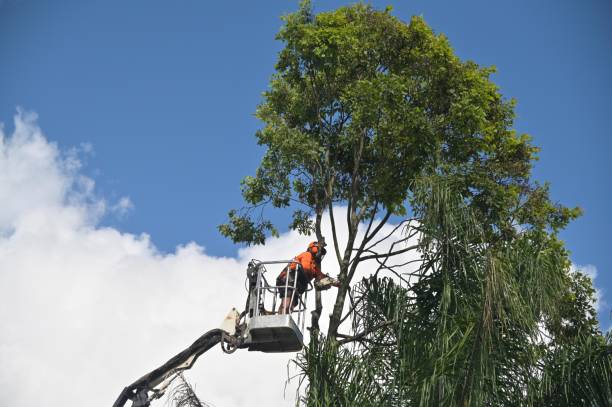 Lawn Irrigation Installation and Maintenance in Montague, CA